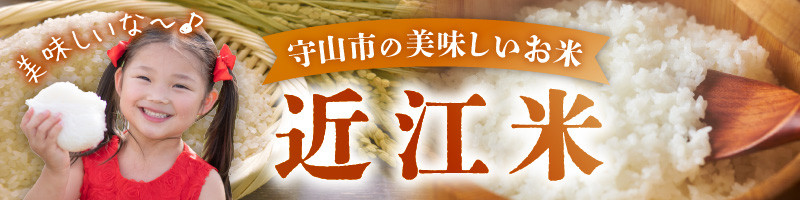 ミニッツメイドオレンジブレンド 350mlPET(24本入) バレンシアオレンジ 果汁100% 健康果実 コカ・コーラ 飲料 フルーツ 守山市 BB-0015