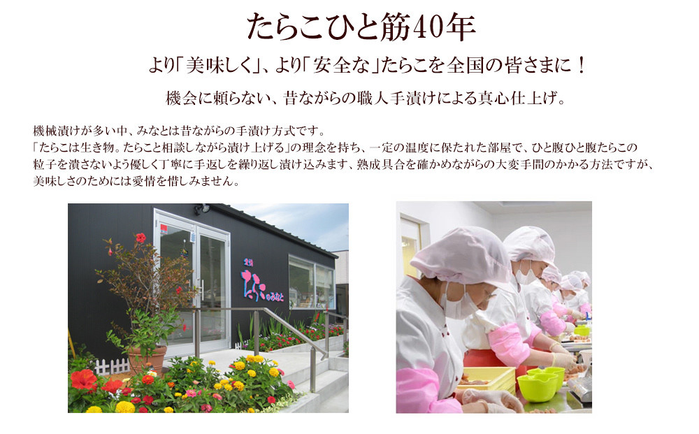 石巻 金華 茶漬け 3種 セット (6食入) たらこ 銀鮭 鯛 お茶漬け 保存料不使用 着色料不使用 常温 ご家庭用 贈答用 愛情たらこのみなと お茶漬けセット 宮城県 石巻市 送料無料 宮城 石巻