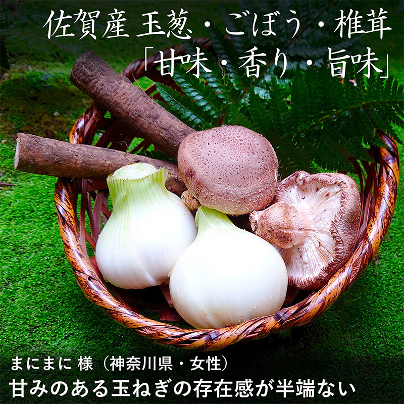 高級国産牛の牛丼具・すき焼き 12食分 無添加・高級だし使用 花すき ギフト 牛丼の具 黒毛和牛 牛肉 高級 お取り寄せ ご飯のお供 冷凍 あっさり グルメ レンジ 佐賀 唐津 花菱