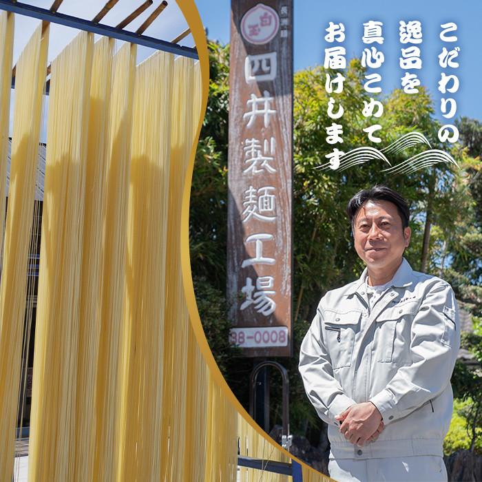 天日熟成うどん(計1.6kg・200g×8袋)うどん 天日干し 熟成 麺類 手軽 こだわり 簡単調理 常温【101400300】【四井製麺工場】