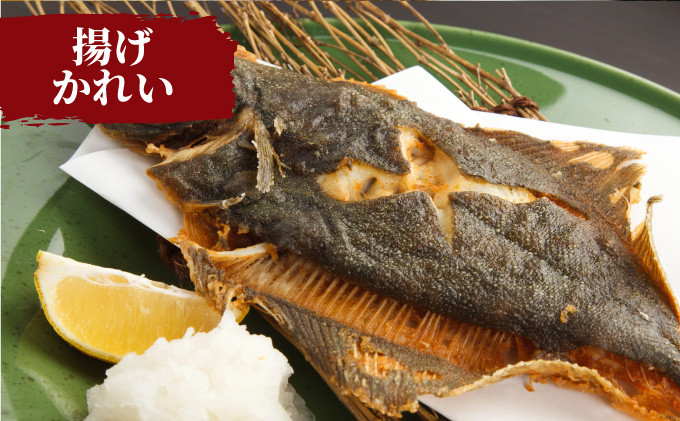 【国産】干物 赤がれい 一汐干し 大サイズ 6枚セット ＜数量限定＞【福井県産 かれい カレイ 干物 一夜干し 魚介類 小分け 個包装 詰め合わせ 無添加 保存料・着色料不使用】[007-a007]