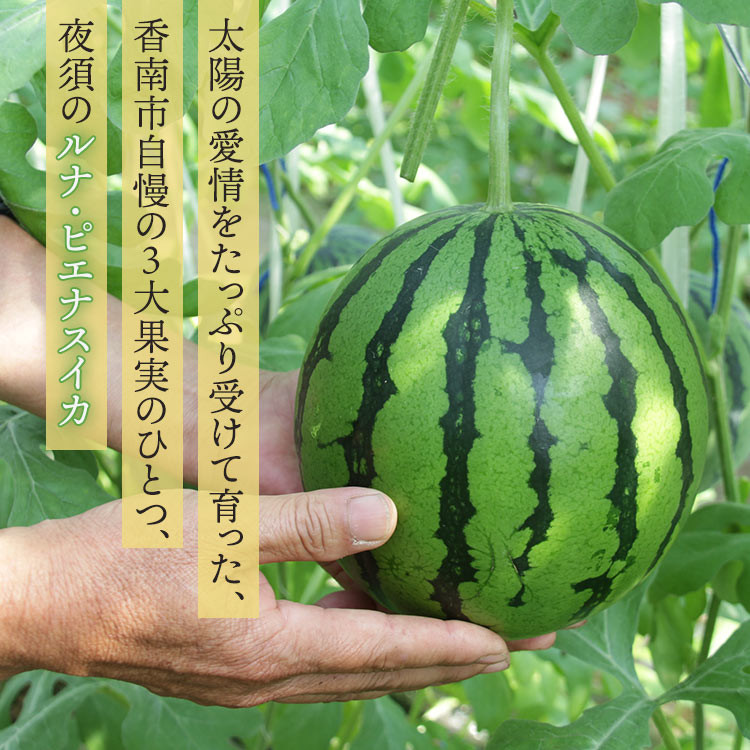 【発送開始】スイカ 先行予約 1玉 【ブランドスイカ】 ルナ・ピエナスイカ 高糖度 中玉 スイカ 西瓜 甘い 人気 スイカ2025 空中立体栽培で太陽の愛情をたっぷり受けた - ルナピエナ スイカ 贈り物 プレゼント のし 果物 フルーツ大好き 1万円以上 10000円以上 すいか 果実 秋 yu-0014