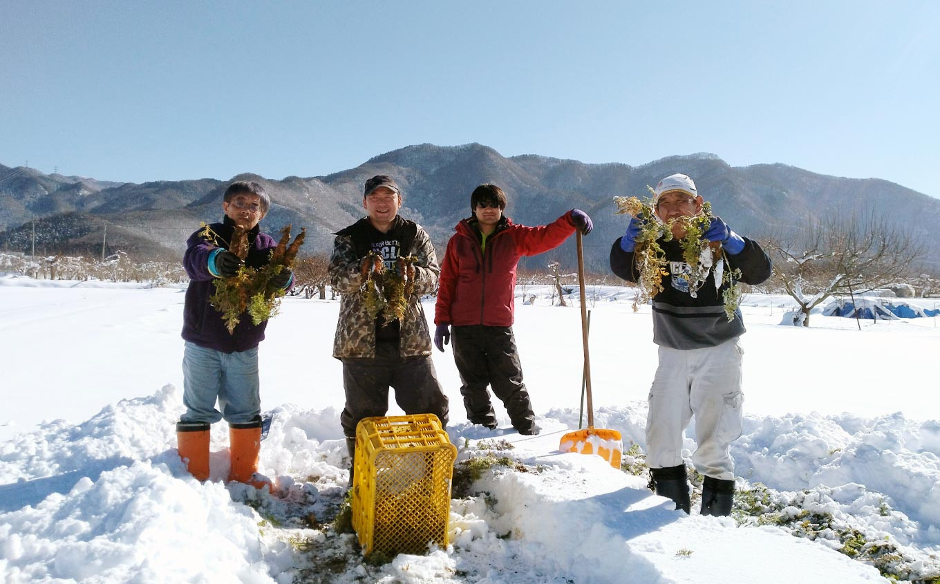 ［有機栽培にんじん使用］ くりのみの有機雪下にんじんジュース 720ml × 4本 ［くりのみ園］ 野菜ジュース 有機人参ジュース ［H-89］