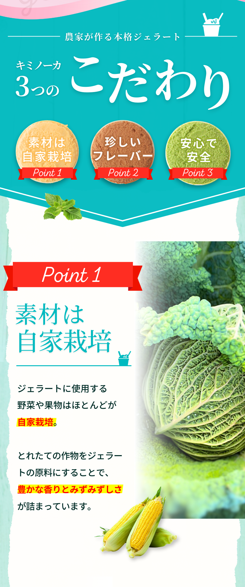 【キミノーカ選りすぐり】ジェラート6個セット  【1月発送】 / ジェラート アイス アイスクリーム キミノーカ スイーツ 大人気 牛乳 ギフト 夏 デザート 子供 バラエティセット おやつ ご褒美 定番 季節の 野菜 と 果物 使用 送料無料 和歌山【kmk003-1】