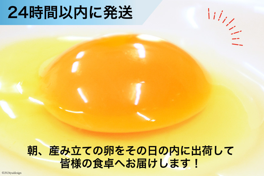 BI043 3回 定期便 たっぷり！ 雲仙たまごMSサイズ 108個(100個＋割れ補償8個入り) [ 卵 たまご 生卵 鶏卵 赤卵 玉子 新鮮 塚ちゃん雲仙たまご村 長崎県 島原市 ]