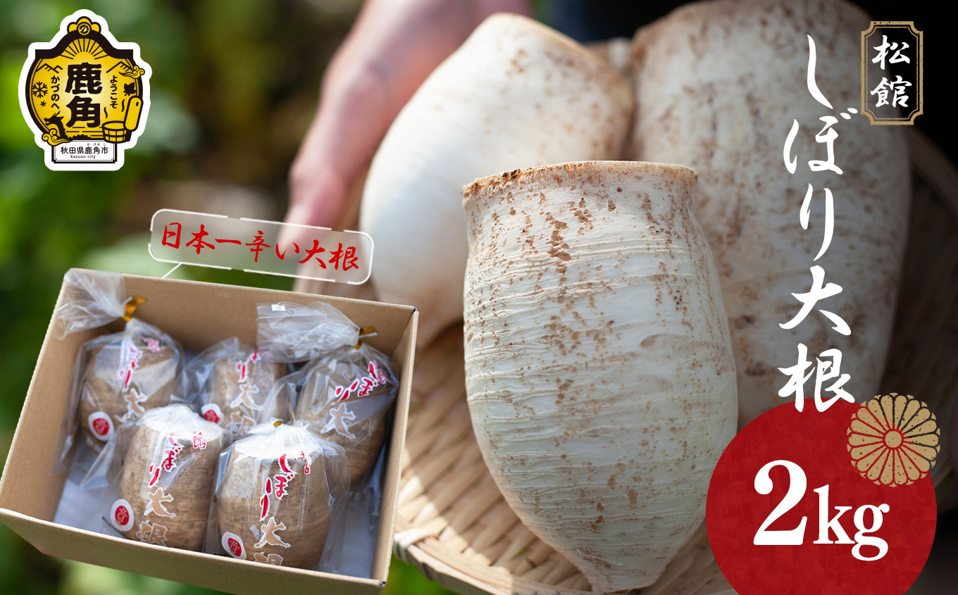《先行予約》秋田県鹿角市八幡平産 松館しぼり大根 2kg( 6~9個 )【TR farm】 ●2025年11月上旬発送開始 薬味大根 GI 地理的表示登録 薬味 大根 ダイコン 野菜 地大根 伝統野菜 日本一 辛い 大根おろし ギフト お中元 お歳暮 ふるさと 返礼品 鹿角市 秋田 送料無料