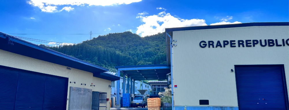  NEW NANYO弾ける泡セット 750ml × 2本 『(株)グレープリパブリック』 シードル 微発砲ワイン 山形県 南陽市 [2337]