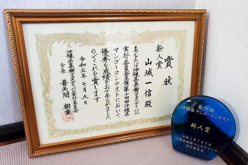 【 先行予約 2026年 発送】 沖縄県 糸満産 の「 濃厚 アップルマンゴー 」20kg ( 2kg × 10箱 ) マンゴー 大容量 贈答用 化粧箱入り 完熟マンゴー ギフト 贈答品 贈答 贈り物 お中元 夏ギフト 大量 お配り用 ゆいぐくるマンゴー沖縄 産地直送 糸満市 