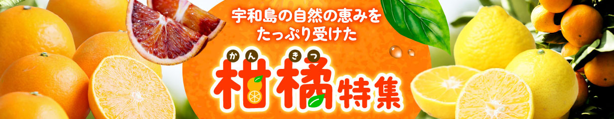 ＼10営業日以内発送／ 訳あり じゃこ天 60枚 セット 小林フーズ 不揃い すり身 冷蔵 プレゼント ギフト 惣菜 練り物 練物 さつま揚げ 蒲鉾 かまぼこ じゃこカツ フライ おでん 具 出汁 小分け 郷土料理 酒 おつまみ 肴 訳アリ 訳あり品 訳有り わけあり 特産品 国産 愛媛 宇和島 C010-070003