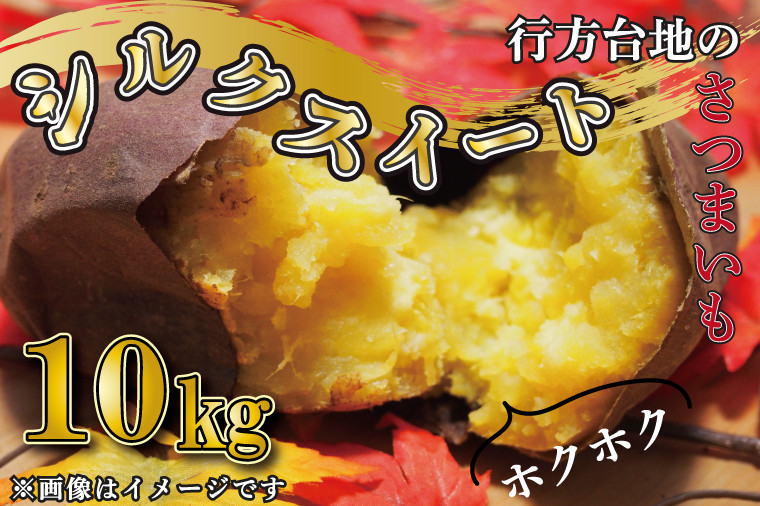 ★緊急支援品★【2026年4月下旬より順次発送】訳あり 無選別 行方台地のさつまいも 熟成シルクスイート 約10kg｜さつまいも 芋 サツマイモ シルクスイート 訳あり わけあり 無選別 茨城県 行方市(CU-85-6)