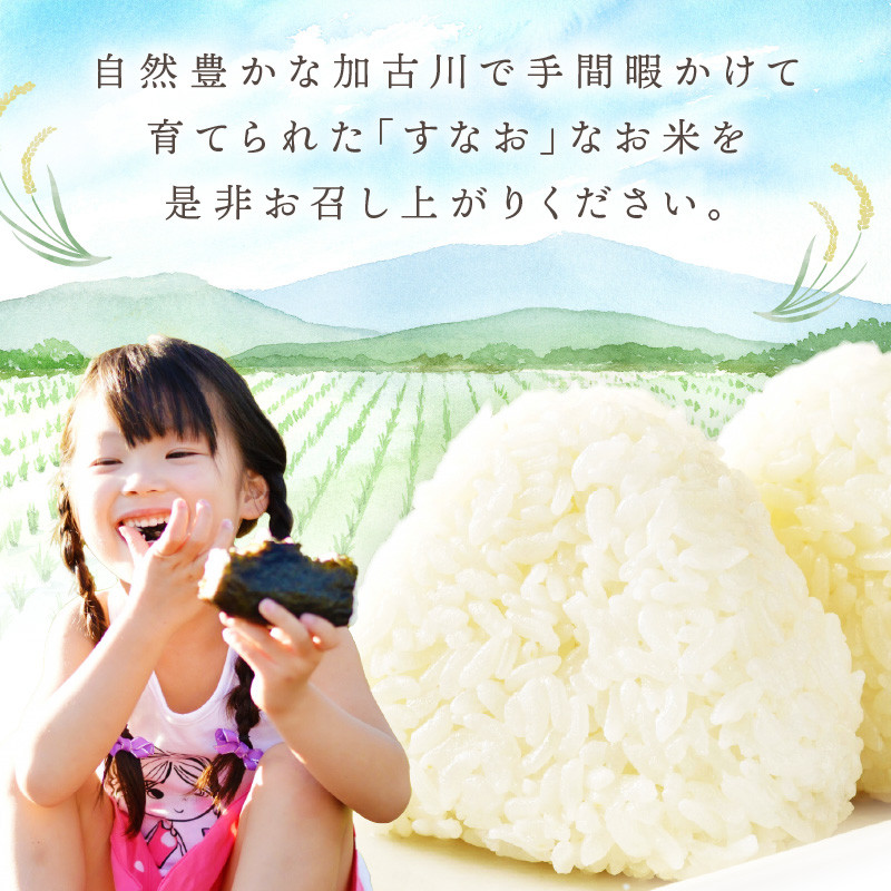 ☆先行予約☆【新米 令和7年産 2025年11月より順次発送】はしもとさんちのお米(10kg)《 お米 米 ヒノヒカリ 精米 お米10kg お米10キロ ごはん ご飯 》【2503B14302】