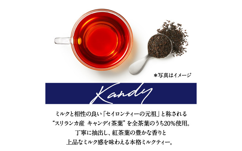 【定期便6回】キリン 午後の紅茶ミルクティー 500ml × 24本 × 6ヶ月