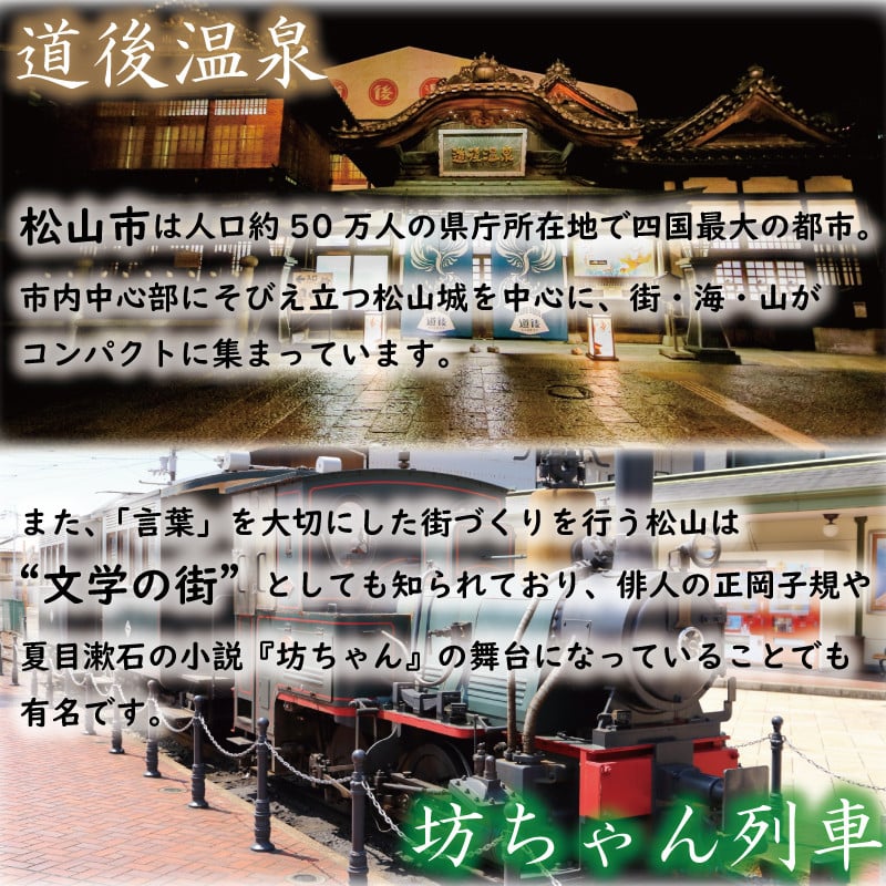 サンバルソース2本セット おすすめ 人気 ギフト セット 愛媛県 松山市 お酒のお供 ごはんのお供