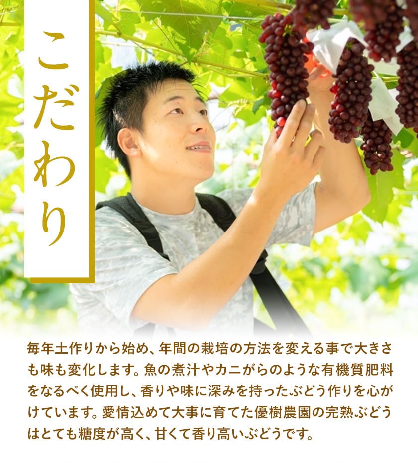 贅沢な濃い搾り デラウェアジュース 720ml × 2本 優樹農園《90日以内に出荷予定(土日祝除く)》大阪府 羽曳野市 デラウェア ジュース 葡萄 飲料