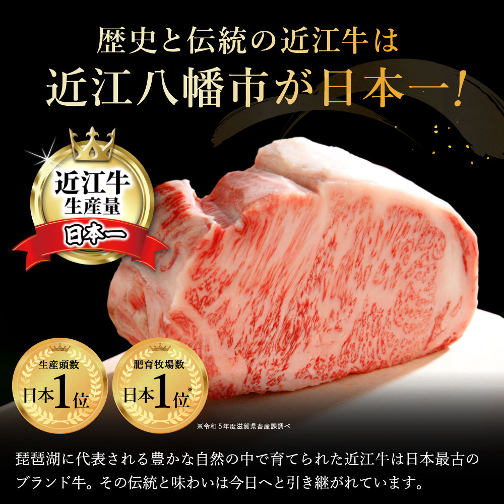 近江牛もつ鍋セット【Y191W】