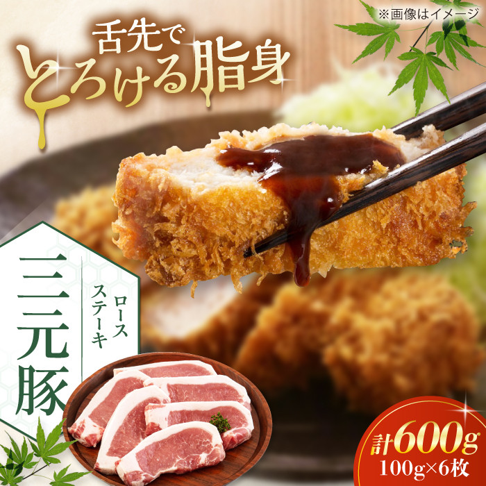 平田牧場 ロースステーキ 600g (100g×6枚) ※藻塩ナシ《喜茂別町》【平田牧場】とんかつ ロース 時短 豚肉 冷凍 豚カツ トンカツ 肉 お弁当 おかず 国産 豚ロース 送料無料 とんかつ用 惣菜 簡単 [AJAP068] 13000 13000円
