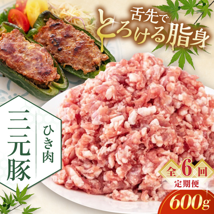 【全6回定期便】平田牧場 ひき肉 600g 《喜茂別町》【平田牧場】 肉 豚肉 ミンチ 豚ミンチ 餃子 つくね 冷凍配送 定期便 定期 北海道 平田牧場 三元豚 [AJAP120] 42000 42000円