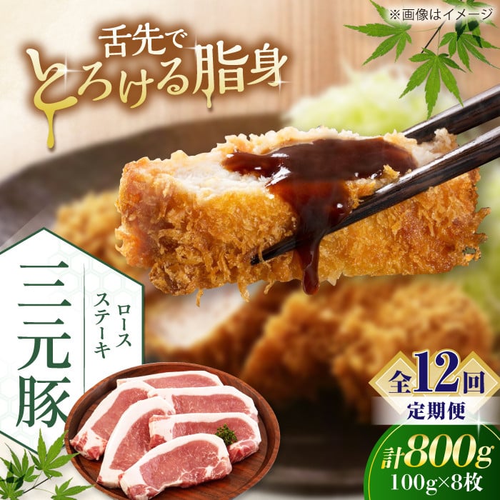 【全12回定期便】平田牧場 ロースステーキ 800g  (100g×8枚) ※藻塩ナシ《喜茂別町》【平田牧場】肉 豚肉 ロース ステーキ ステーキ用 とんかつ生姜焼き 冷蔵配送 北海道 [AJAP093] 204000 204000円