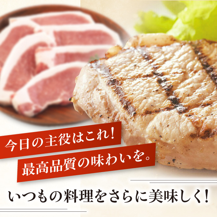 平田牧場 ロースステーキ 600g (100g×6枚) ※藻塩ナシ《喜茂別町》【平田牧場】とんかつ ロース 時短 豚肉 冷凍 豚カツ トンカツ 肉 お弁当 おかず 国産 豚ロース 送料無料 とんかつ用 惣菜 簡単 [AJAP068] 13000 13000円