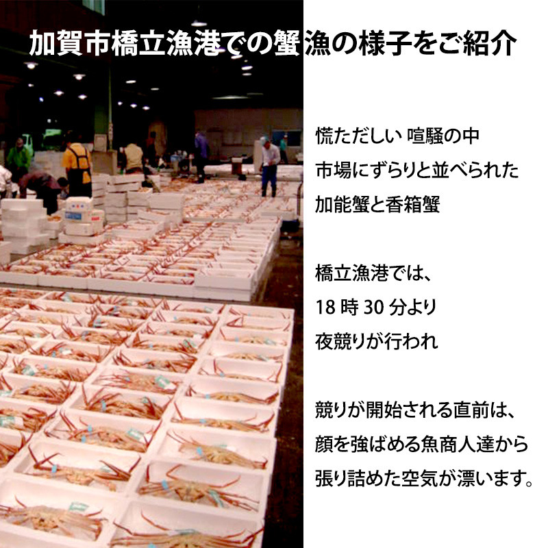 石川県産 加能かに ズワイガニ ( 産地証明タグ付 ) 訳あり 足折れ 小サイズ 2～3匹 合計1.0kg 1月20日～ 3月31日発送 産地証明 訳あり 家庭用 自宅用 足折れ 先行予約 予約 ブランド蟹 ボイル 茹で 蟹 復興 震災 コロナ 能登半島地震復興支援 北陸新幹線 F6P-2780