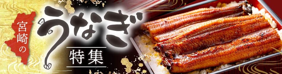 宮崎牛ヒレ ステーキ450g(150g×3)｜国産 和牛 牛肉 牛肉ステーキ｜_M132-001_04