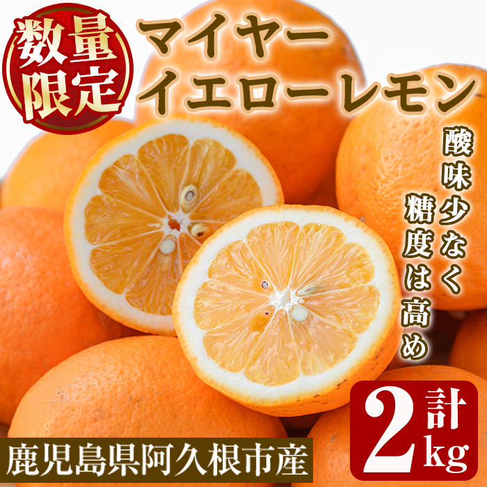 数量限定!露地マイヤーイエローレモン(2kg) 国産 果実 果物 レモン イエローレモン フルーツ 檸檬 柑橘 デザート 期間限定【桐野柑橘株式会社】akn070-10