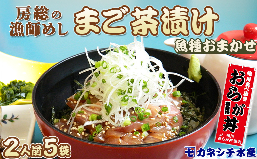 【魚屋食堂直送】漁師直伝！房州漁師料理『まご茶漬け』２人前×５袋　[0011-0023]