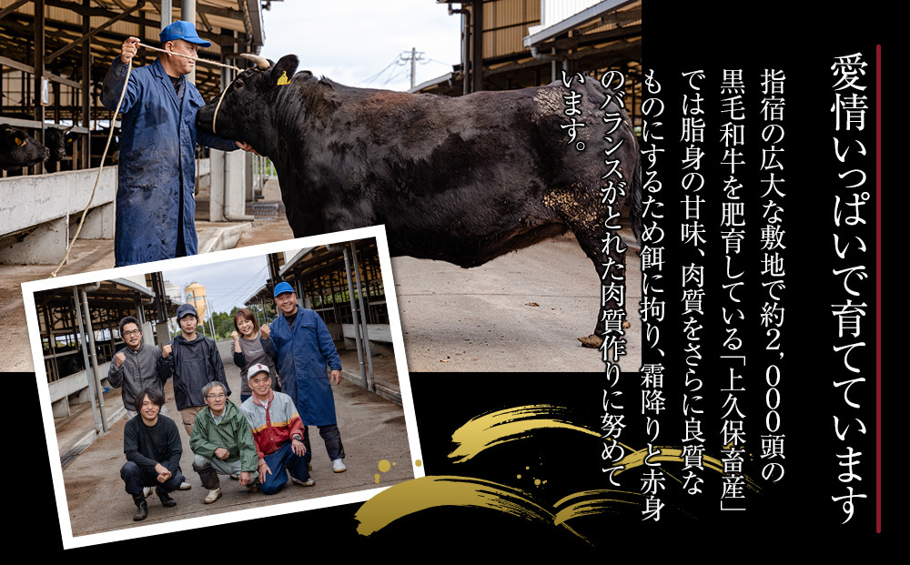 <A4ランク>鹿児島県産黒毛和牛サーロインステーキ(計360g・180g×2枚)【牛肉 黒毛和牛 和牛 牛 肉 サーロイン ステーキ おかず 冷凍 国産 九州産 鹿児島県産 人気 食品 お祝い ギフト おすすめ 鹿児島県 種子島 中種子町 ふるさと納税 送料無料 BH04】