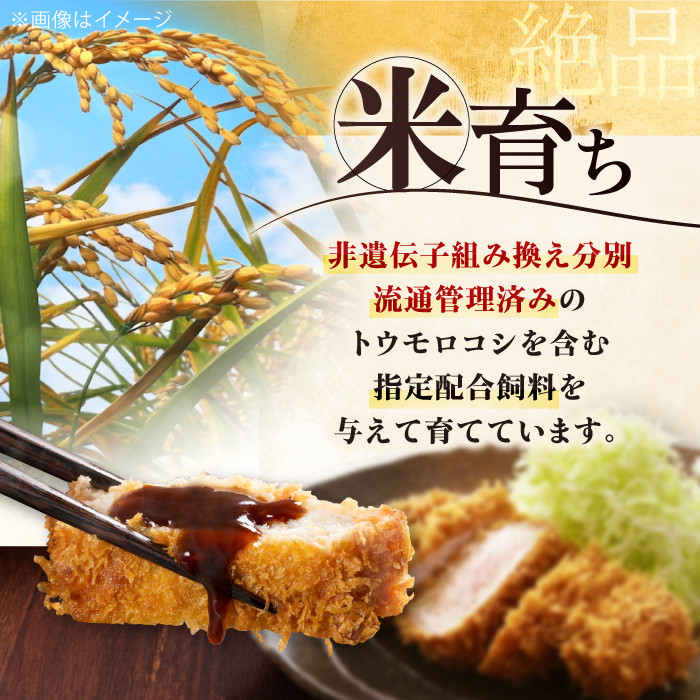 平田牧場 ロースステーキ 600g (100g×6枚) ※藻塩ナシ《喜茂別町》【平田牧場】とんかつ ロース 時短 豚肉 冷凍 豚カツ トンカツ 肉 お弁当 おかず 国産 豚ロース 送料無料 とんかつ用 惣菜 簡単 [AJAP068] 13000 13000円