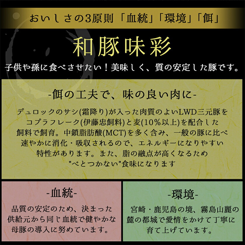 豚ロース 味噌漬け 10枚入 独楽 送料無料《30日以内に出荷予定(土日祝除く)》 福岡県 鞍手郡 鞍手町 豚 ロース