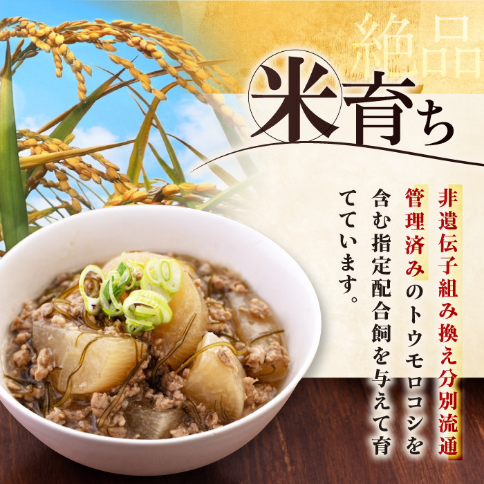 【全12回定期便】平田牧場 ひき肉 600g 《喜茂別町》【平田牧場】 肉 豚肉 ミンチ 豚ミンチ 餃子 つくね 冷凍配送 定期便 定期 北海道 平田牧場 三元豚 [AJAP121] 84000 84000円