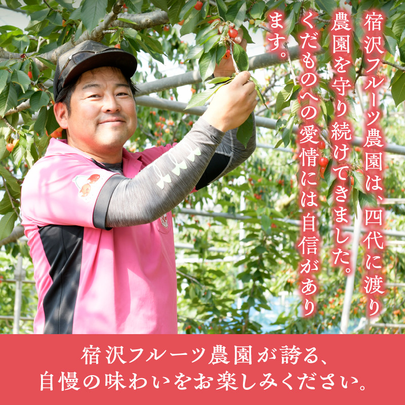 【宿沢フルーツ農園】のさくらんぼ 佐藤錦 約500g 化粧箱 バラ詰め【2026年発送】(SF)B12-144