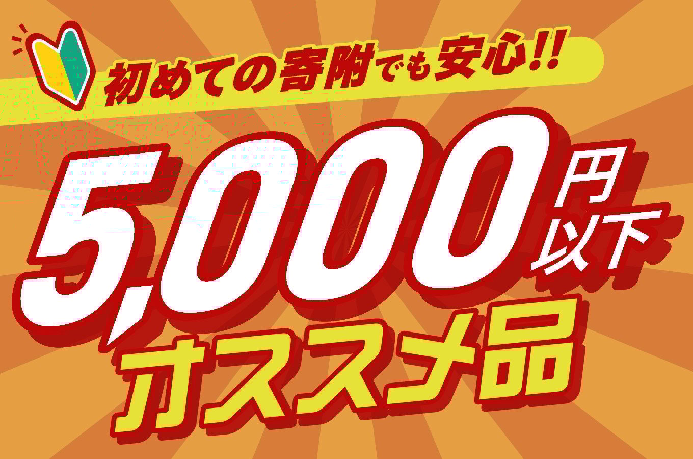\ポスト投函/ひとくちかつお(230g) 漬物 おかず 野菜 加工品 国産_T025-011
