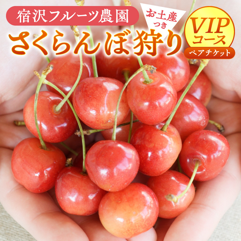 【宿沢フルーツ農園】さくらんぼ狩り『VIPコース』ペアチケットお土産付き約300g(1箱付き)(SF)D-145