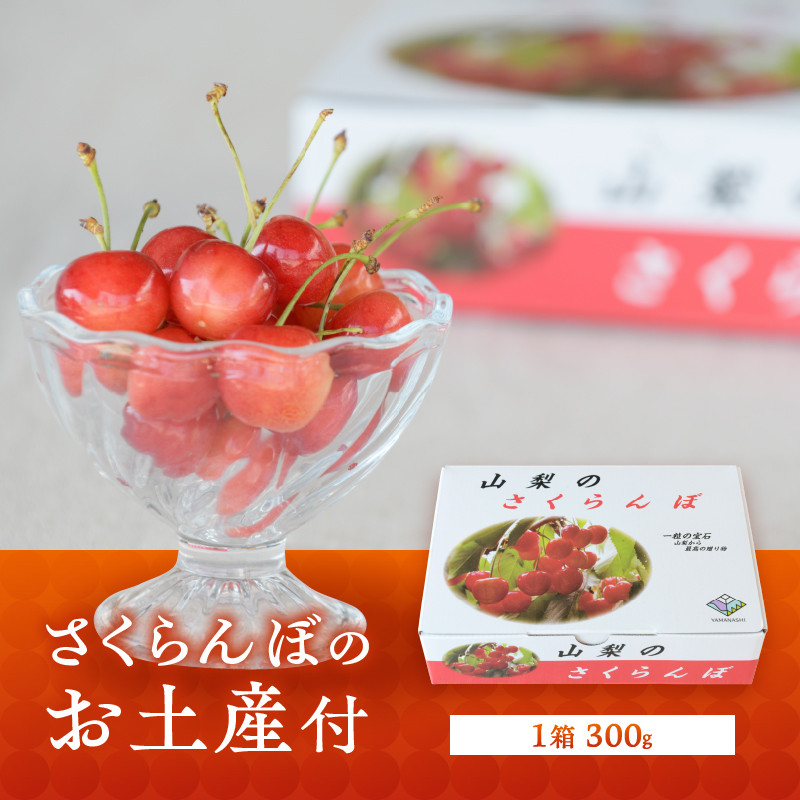 【宿沢フルーツ農園】さくらんぼ狩り『VIPコース』ペアチケットお土産付き約300g(1箱付き)(SF)D-145