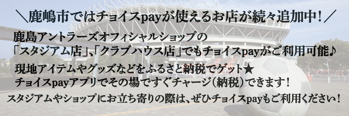 【共通返礼品】しかたこ ぬいぐるみ【鹿島アントラーズ グッズ サッカー エフシー オリジナル グッズ ヌイグルミ シカタコ マスコット 鹿嶋市 茨城県】（KH-29）