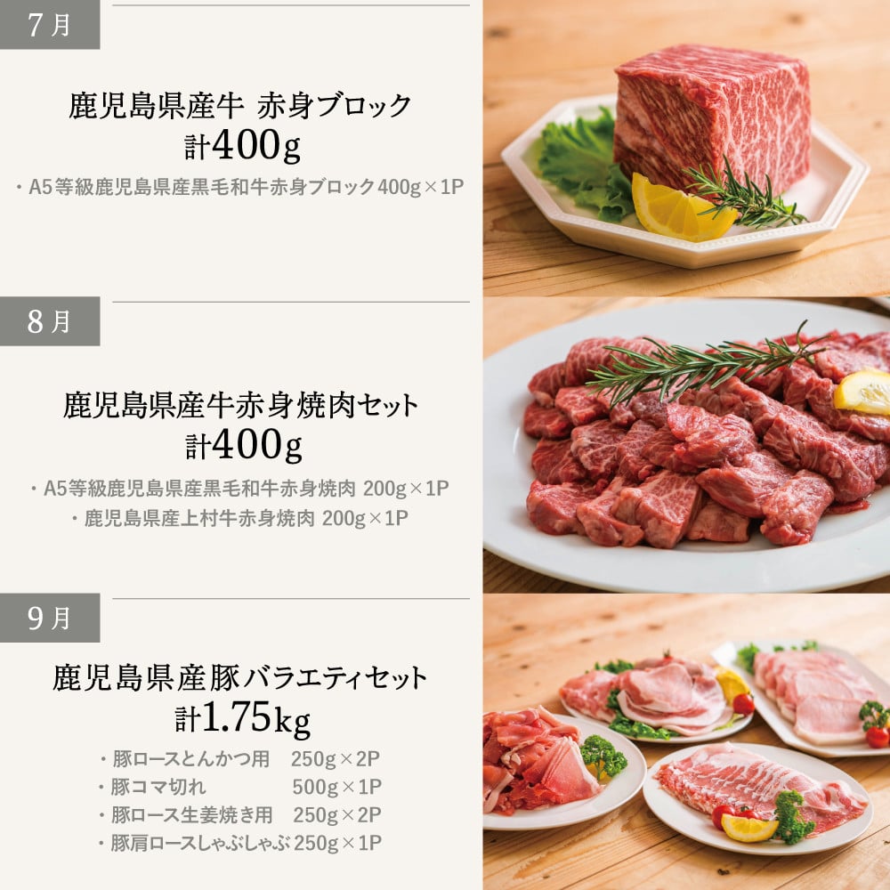 【定期便 全12回】情熱牧場 鹿児島県産お肉の定期便 スタンダードコース お肉 ステーキ すき焼き しゃぶしゃぶ A5等級 黒毛和牛 牛肉 豚肉 焼肉 定期便 冷凍 カミチク