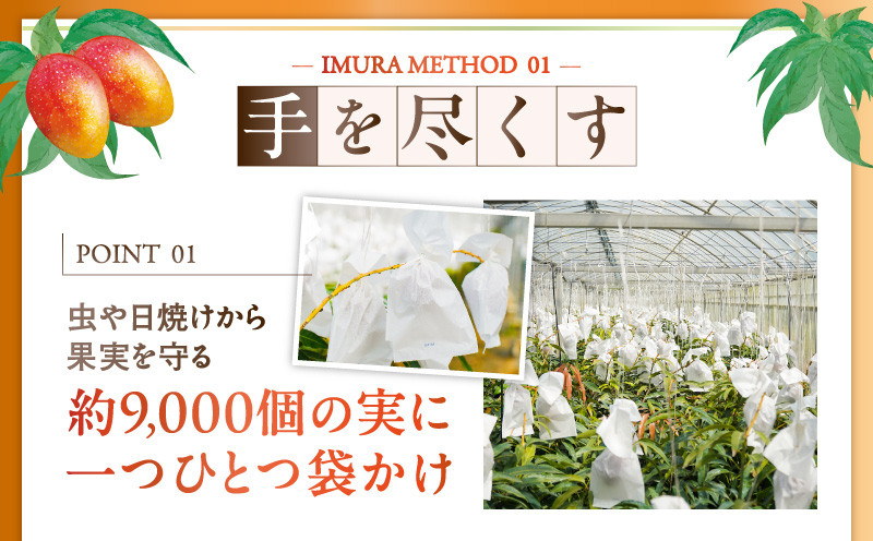 【2026年先行予約】伊村農園こだわり栽培!完熟アップルマンゴー2kg(4~5玉) W026-002u