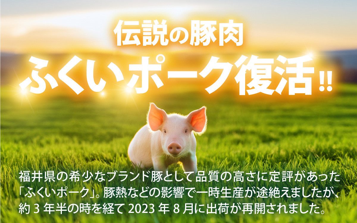 ふくいポーク　ステーキ用（1枚 約300g×3パック)　計約900g [A-066041]