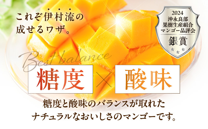 【2026年先行予約】伊村農園こだわり栽培!完熟アップルマンゴー2kg(4~5玉) W026-002u
