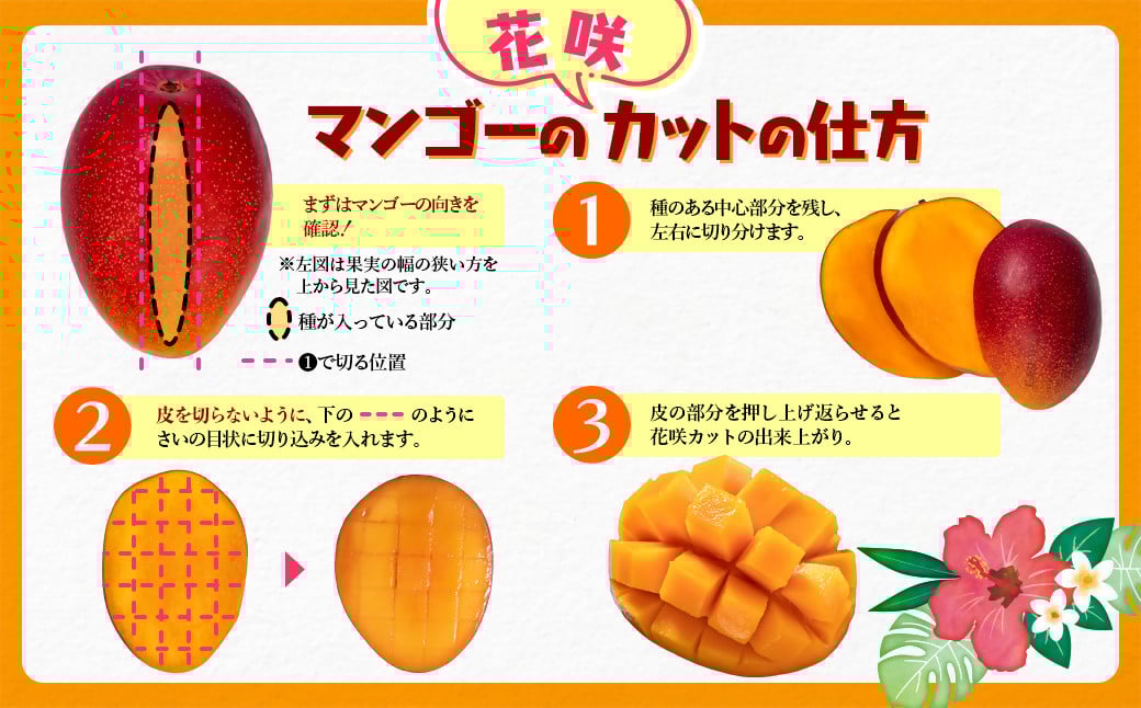 【2ヶ月定期便】最高級ブランド『太陽のタマゴ』4Lサイズ2個入り【糖度15度以上】宮崎県西都市産完熟マンゴー<10-18>宮崎完熟マンゴー 果物 フルーツ 甘い【先行予約】