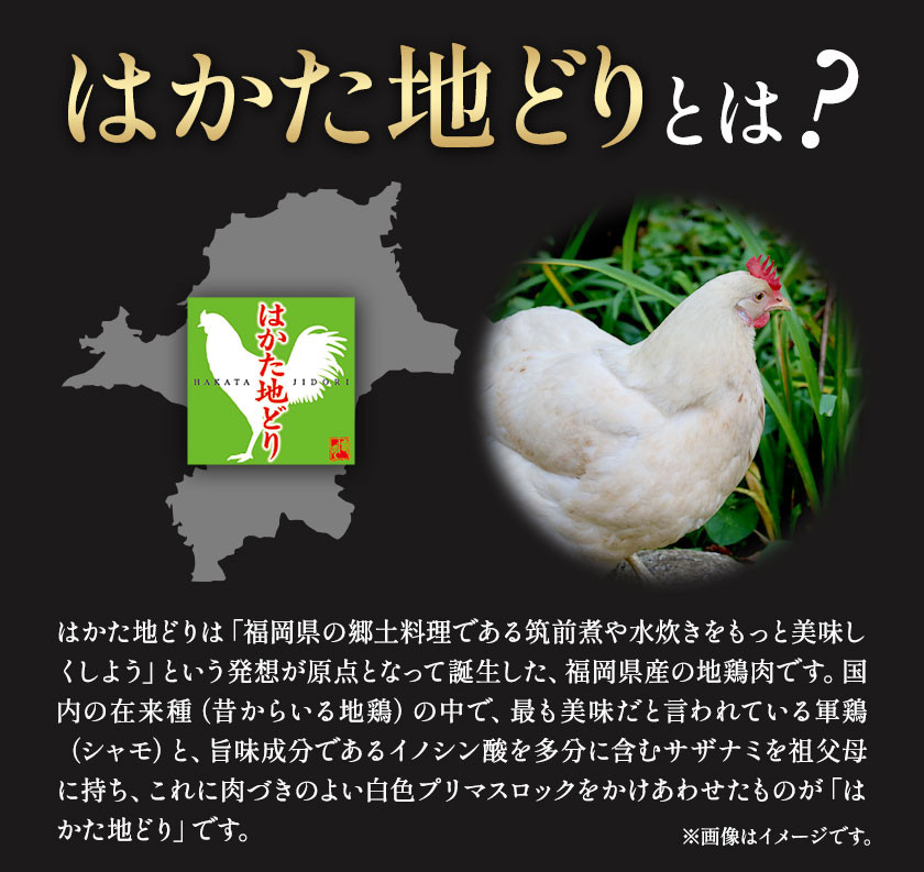 鶏肉 はかた地どり モモムネセット もも肉 むね肉 2kg 《30日以内に出荷予定(土日祝除く)》 株式会社MEATPLUS 福岡県 鞍手郡 小竹町 地鶏 鶏肉 とり肉