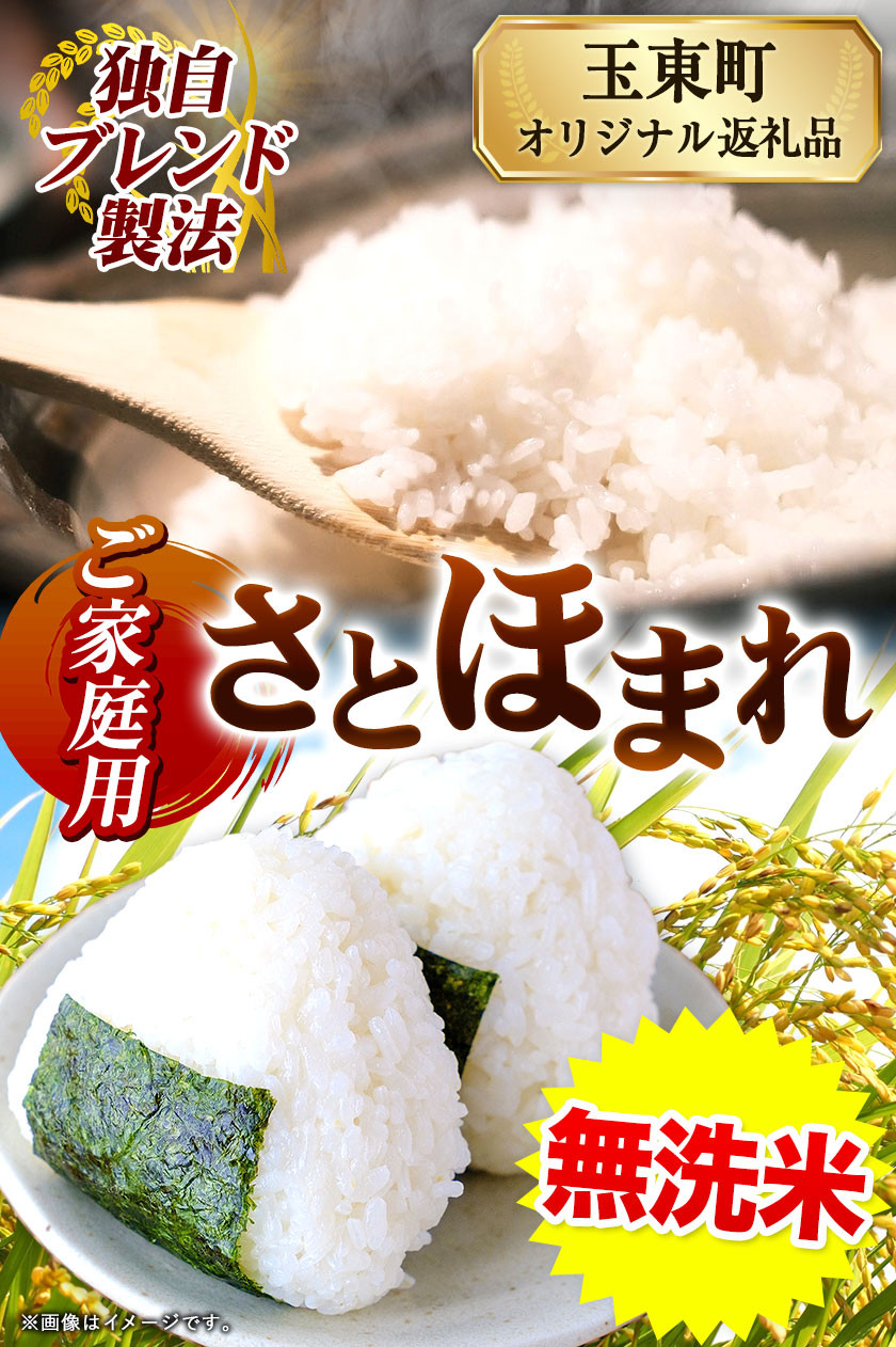 熊本県産 さとほまれ 無洗米 ご家庭用 20kg 《7-14日以内に出荷予定(土日祝除く)》熊本県 玉名郡 玉東町 米 こめ コメ ブレンド米 送料無料