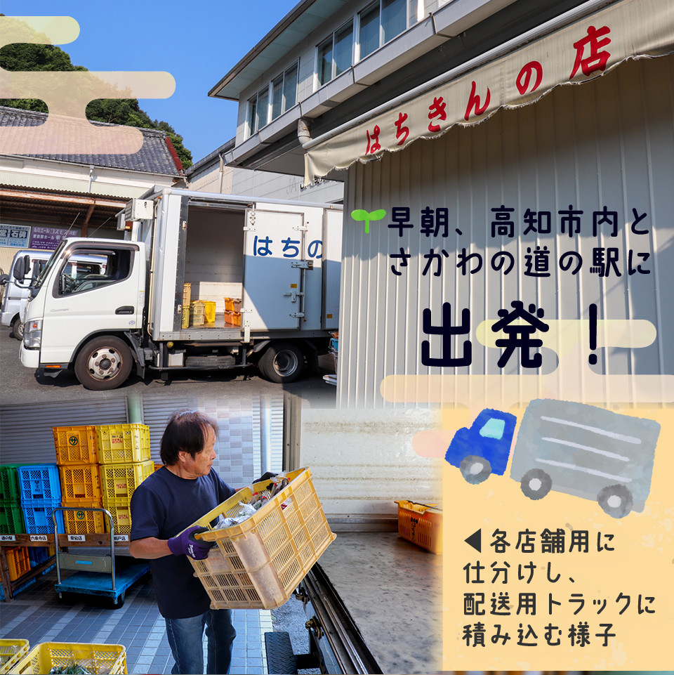 ＜年4回定期便＞ はちきんの店 野菜 セット 7~10品