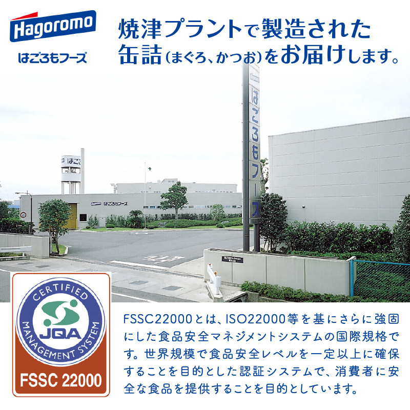 a30-290　オイル不使用シーチキンL