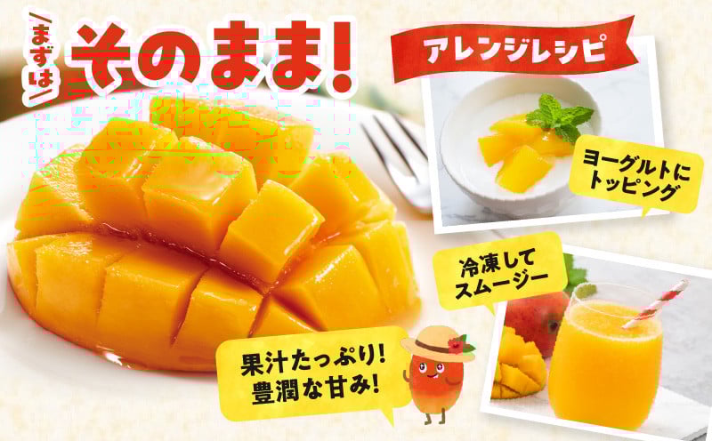 【2026年先行予約】竹マンゴーファームの完熟マンゴー2キロ（4～6個入り）　C039-006