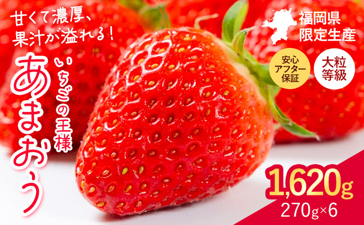 ★2026年出荷分★いちご あまおう 大容量産あまおう 1620g 【着日指定不可】《2月中旬-4月末頃出荷》 いちご