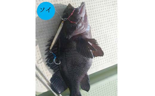 【岩手三陸山田】釣り船 邦栄丸 乗船券 3名分 山田町 山田湾 釣り船 船釣り 体験 カレイ アイナメ ソイ イカ ワラサ マス タラ メガラ YD-688