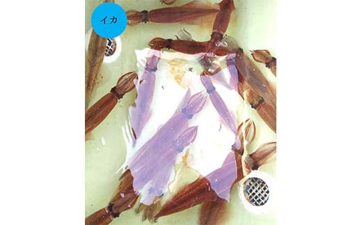 【岩手三陸山田】釣り船 邦栄丸 乗船券 3名分 山田町 山田湾 釣り船 船釣り 体験 カレイ アイナメ ソイ イカ ワラサ マス タラ メガラ YD-688