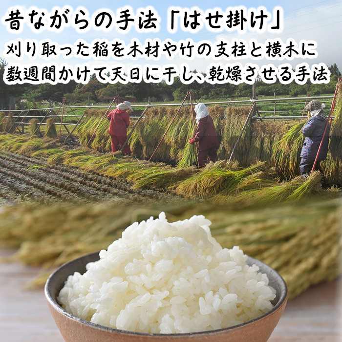 【令和7年産】 天日干し米 ひとめぼれ 精米 10kg / 伊藤一夫 こめ 米 コメ お米 おこめ ご飯 御飯 ごはん 白米 白飯 ライス おにぎり お弁当 仕送り お取り寄せ 産地直送 単一原料米 国産 国産米 岩手県産米 東北 岩手県産 八幡平市産 数量限定 おすすめ オススメ おいしい 美味しい